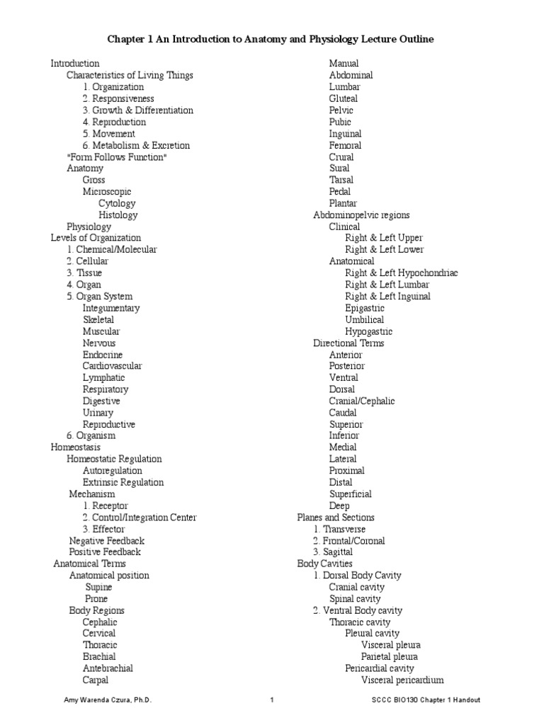 Chapter 1 An Introduction To Anatomy and Physiology Lecture Outline ...