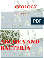 Microbiology Lecture IV