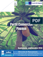 Perfil Papaya PDF