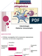 Presentacion Antigenica