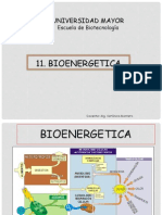 Bioenergetica