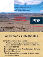 Anastomosis Intestinales