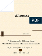 biomassa1