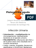 Pielonefritis Aguda