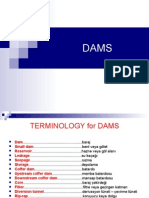 DAMS1(1)