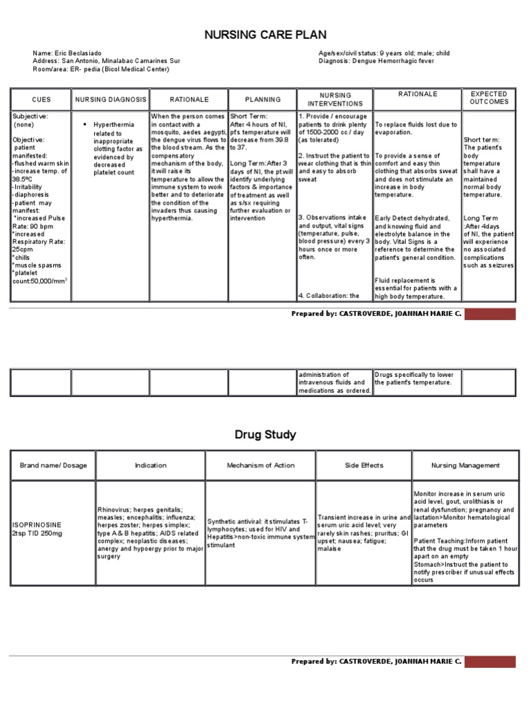 Nursing Care Plan  PDF  Herpes Simplex  Hyperthermia Within Nursing Care Plan Template Word