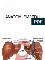 Anatomi Empedu
