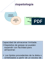 Fisiopatología Obesidad