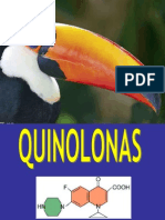 110147473-QUINOLONAS-PARA-ENFERMERIA.pdf