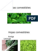 Articles-23125 Recurso PPT - PPT PLANTAS