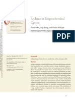 Archaea Ciclos Bioquimicos