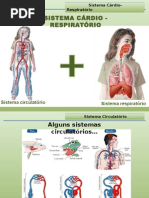 7 Sistema Cárdio Respiratório