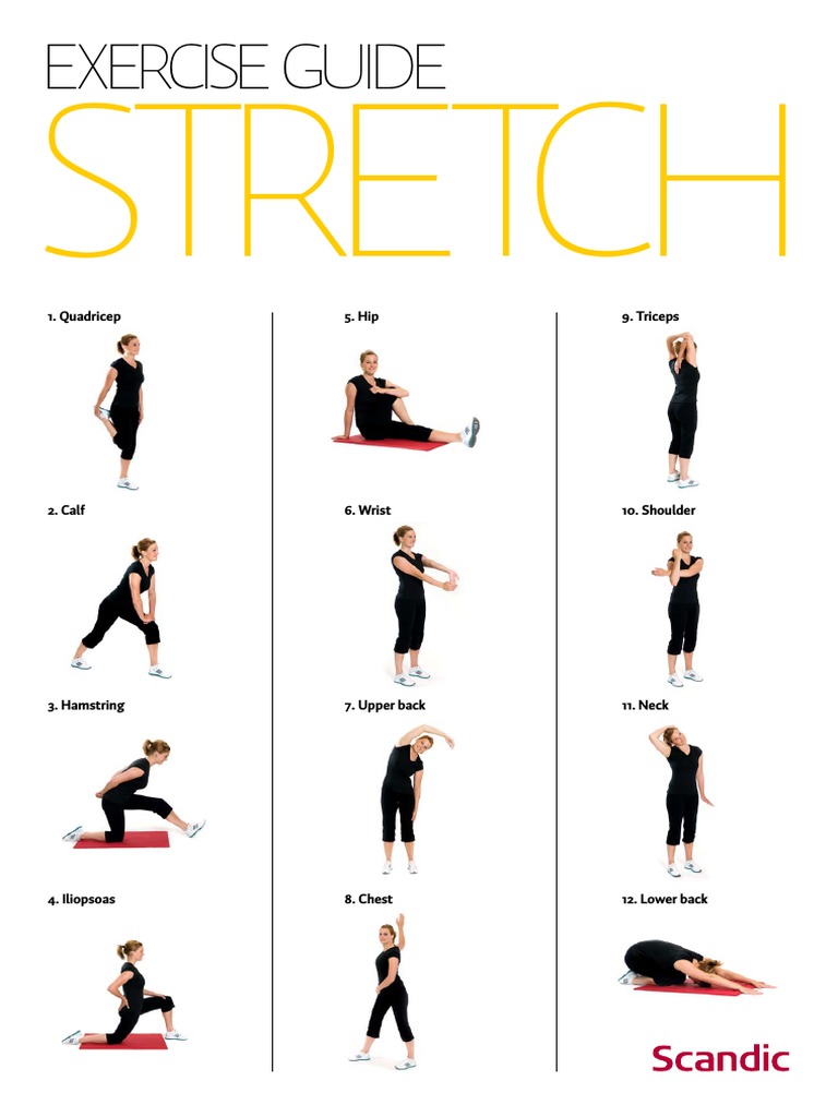 Stretching Exercise Guide | PDF