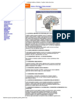 A Glândula Hipófise Ou Pituitária - Funções, Saúde e Exercícios