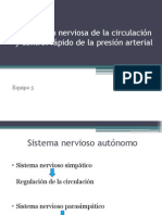 Regulación Nerviosa de La Circulación