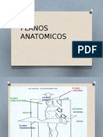 Planos Anatomicos