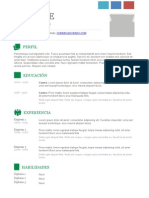 Plantilla Curriculum Vitae 