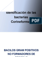 Identificacion de Las Bacterias Corineformes