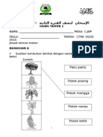 Peperiksaan Pertengahan Penggal 2 Sains Tahun 1