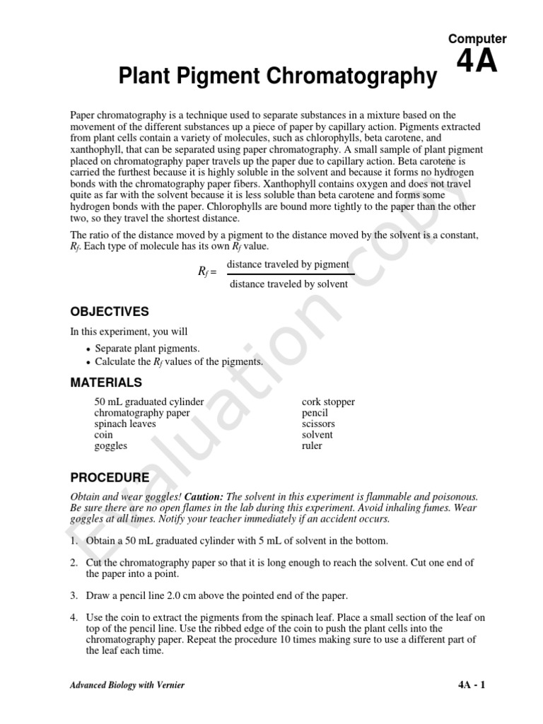 Plant Pigment Chromatography PDF Chromatography Physical Sciences