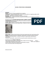 Acizii Nucleici Rol Biologic