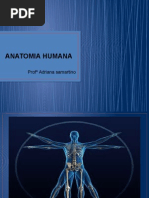 1 - Anatomia Humana - Geral