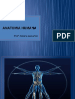 1 - Anatomia Humana - Geral