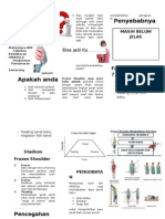 FROZEN SHOULDER PENYEBAB DAN PENGOBATANNYA