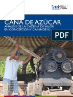 cana_de_azucar.pdf