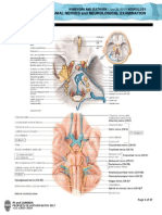 NEUROPrelims - Cranial Nerves and Neurological Examination