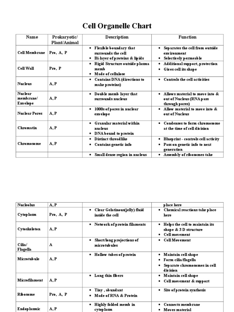 Cell Organelle Chart Key 2011 Cell Nucleus Cell Biology