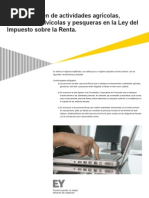 Ey Tax Flash Comentarios_1641