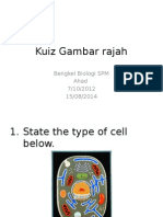 Kuiz Gambar Rajah Biologi