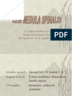 Lesi Medula Spinalis