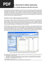 Microsoft Project Notes