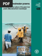 Download Udang Galah Fao by Aditiya Nugraha SN274984051 doc pdf
