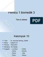 kelompok 10 .ppt