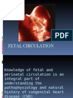 Fetal Circulation and Changes at Birth