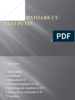 Prezentare-PPT-IUP.pptx