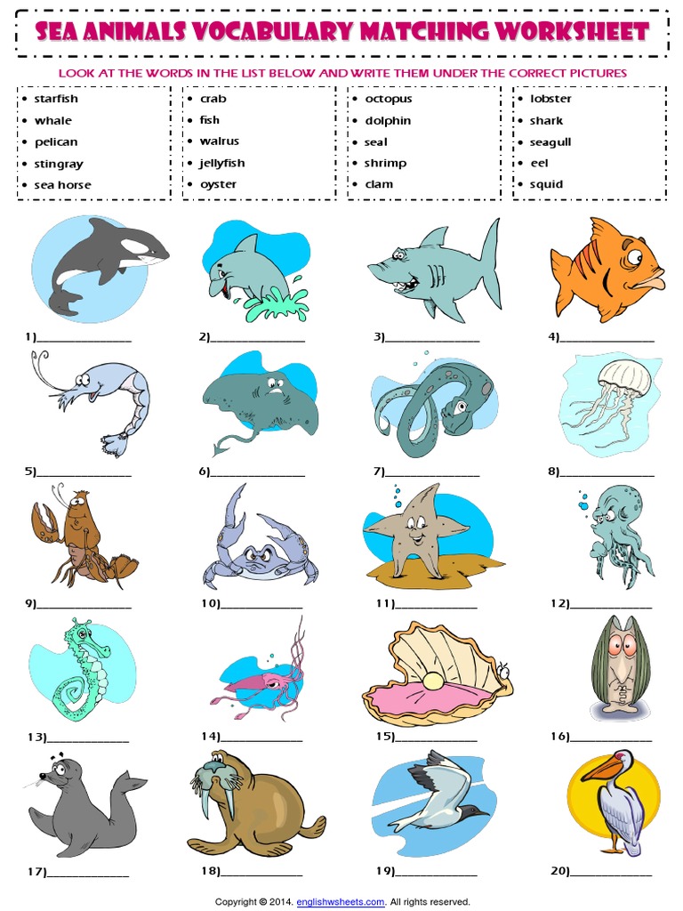 Sea Animals Esl Vocabulary Matching Exercise Worksheet-1