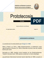 Prototecosis