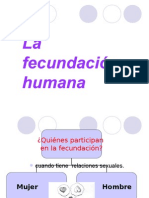 La Fecundacion