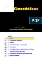 Genética y Leyes de Mendel