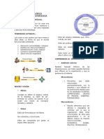 Administración Estratégica Triptico