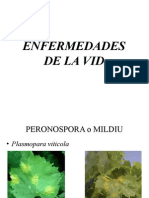 Enfermedades en Vid