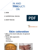 Skin and Fascia