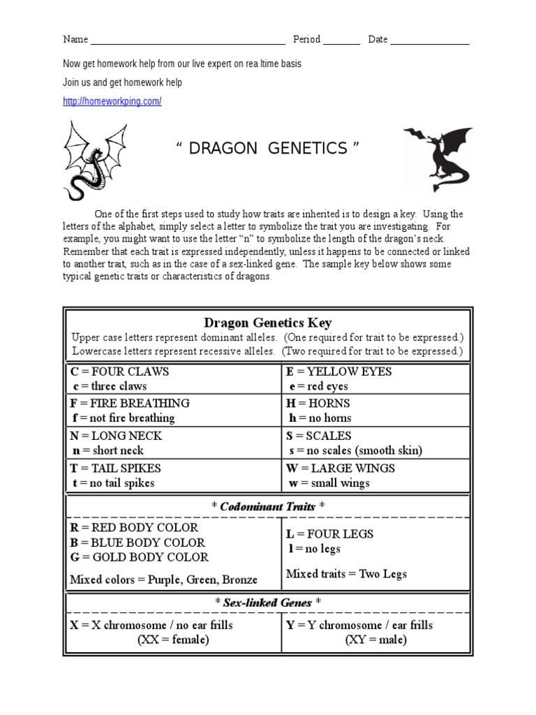 Dragon Genetics Worksheet Answer Key Inspireya