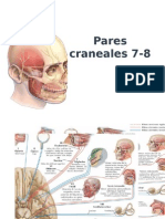 Pares Craneales 7-8