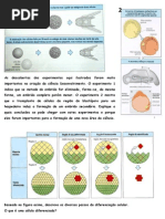 Roteiro_Desenvolvimento