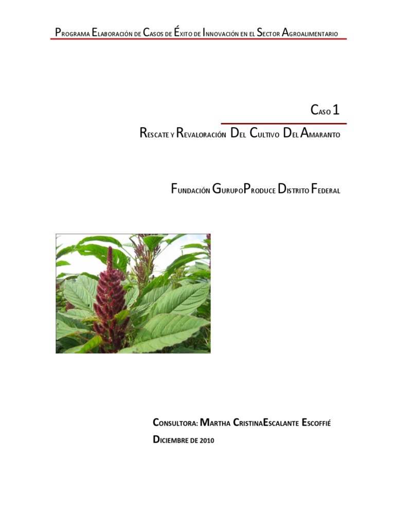Propiedades Del Amaranto PDF Agricultura Cereales